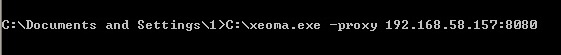 The command will help you use connection via a proxy server