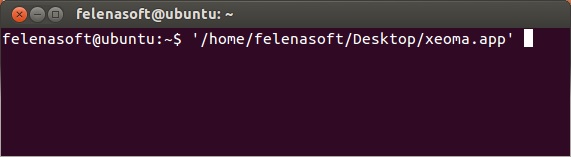 Run Xeoma via Console