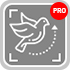 Bird Detector module in Xeoma video surveillance software