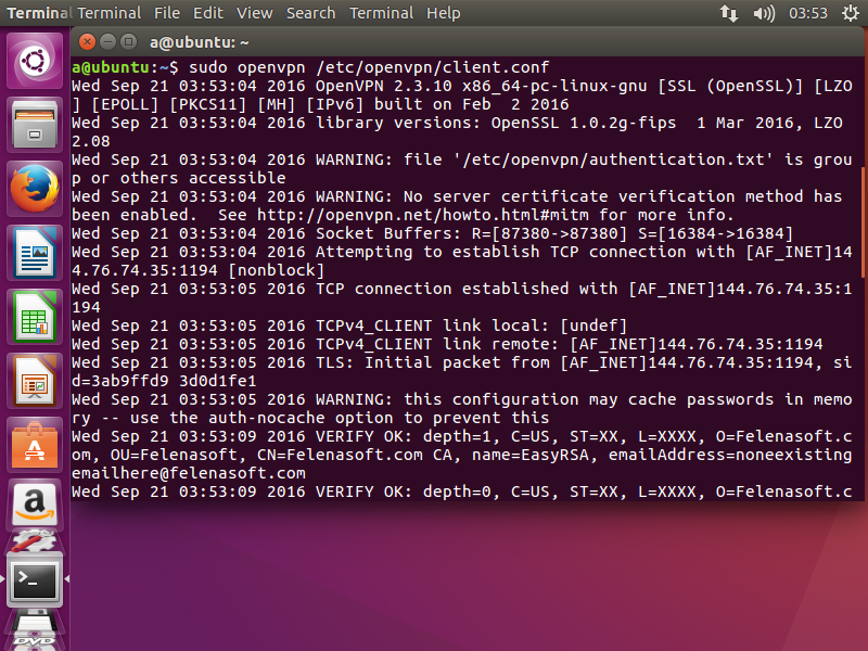 vpn_linux_launch.en