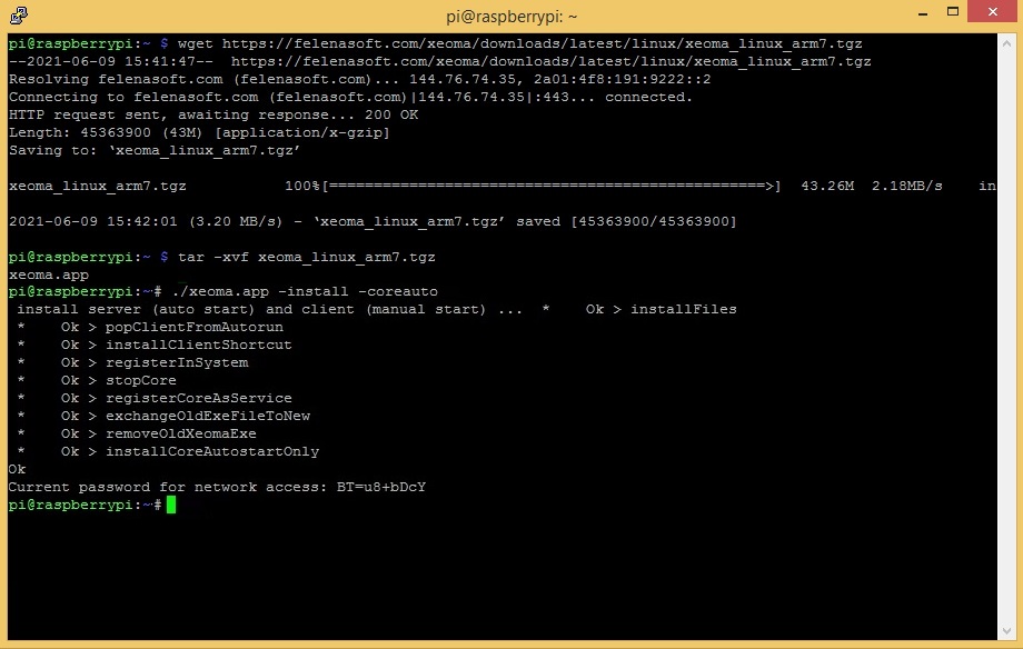 Install the server to the auto start