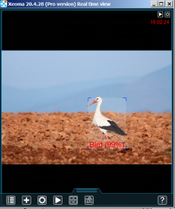 xeoma_business_automation_farming_fish_loss_prevention_seabirds_scare